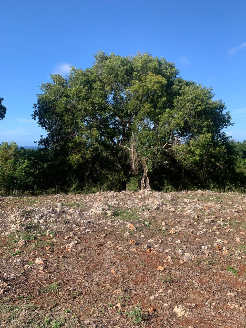 154297-whatsapp_image_2025_12_22_at_14.34.18__14_