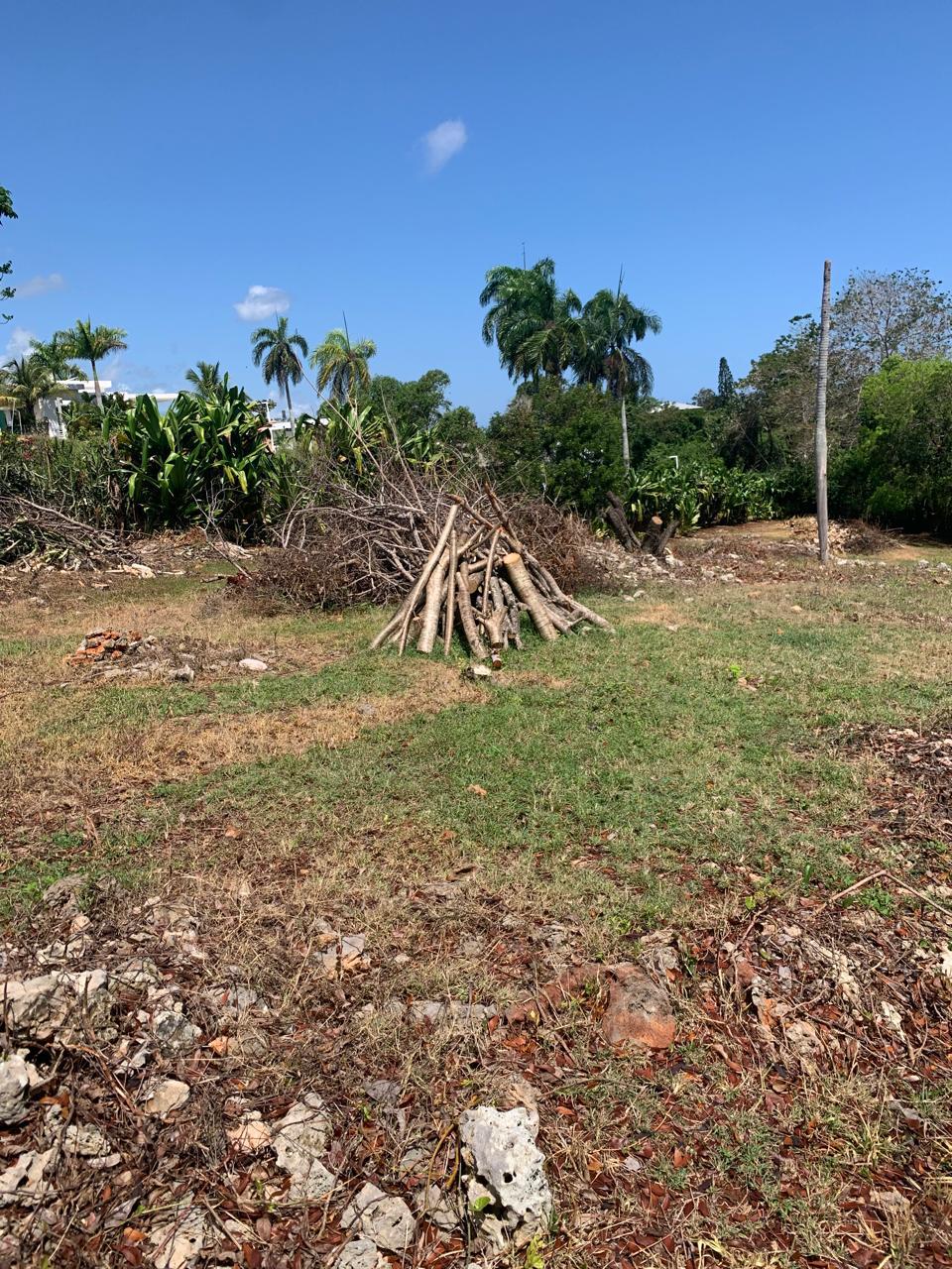 154297-whatsapp_image_2025_12_22_at_14.34.18__1_