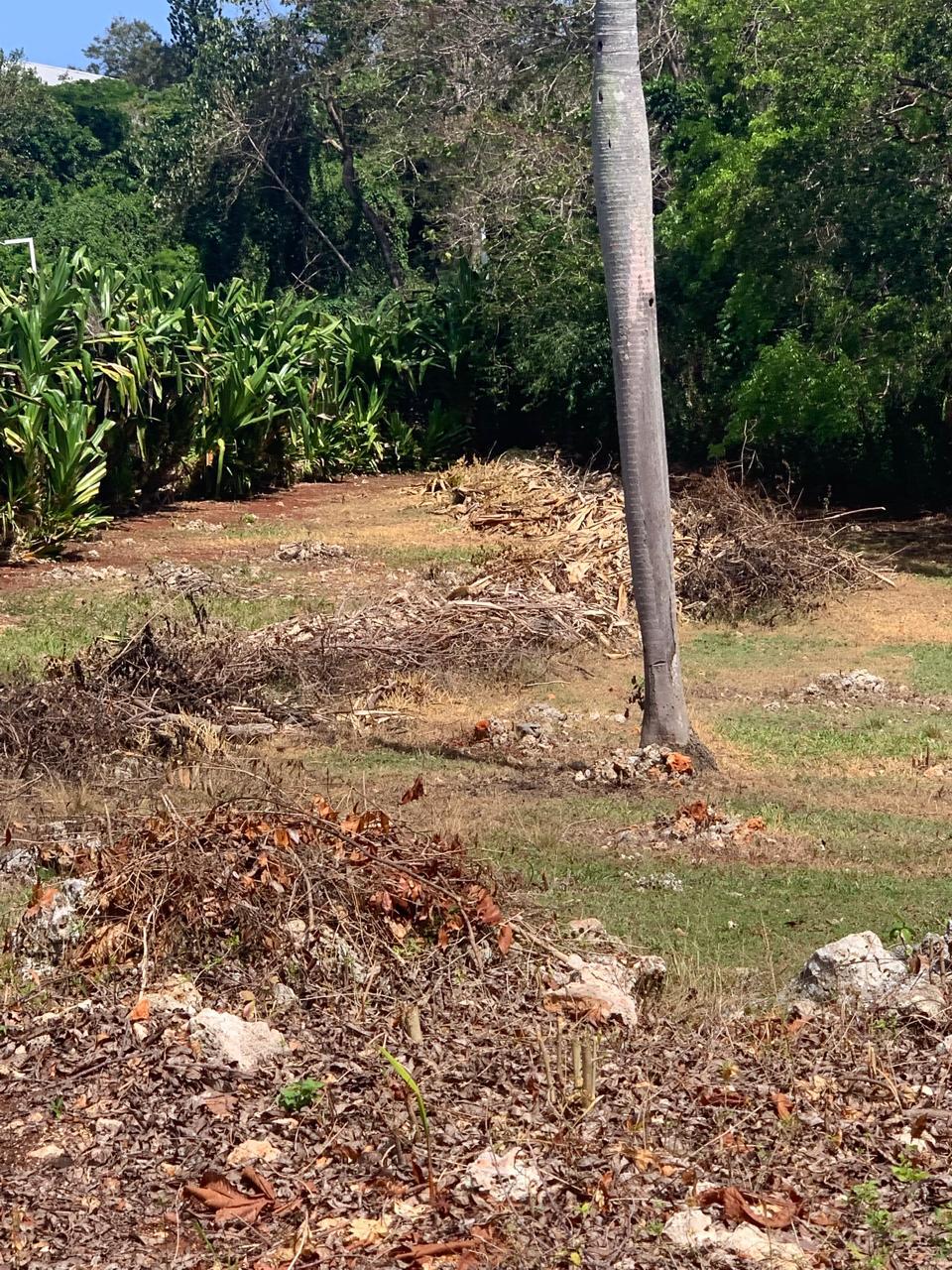 154297-whatsapp_image_2025_12_22_at_14.34.18__2_