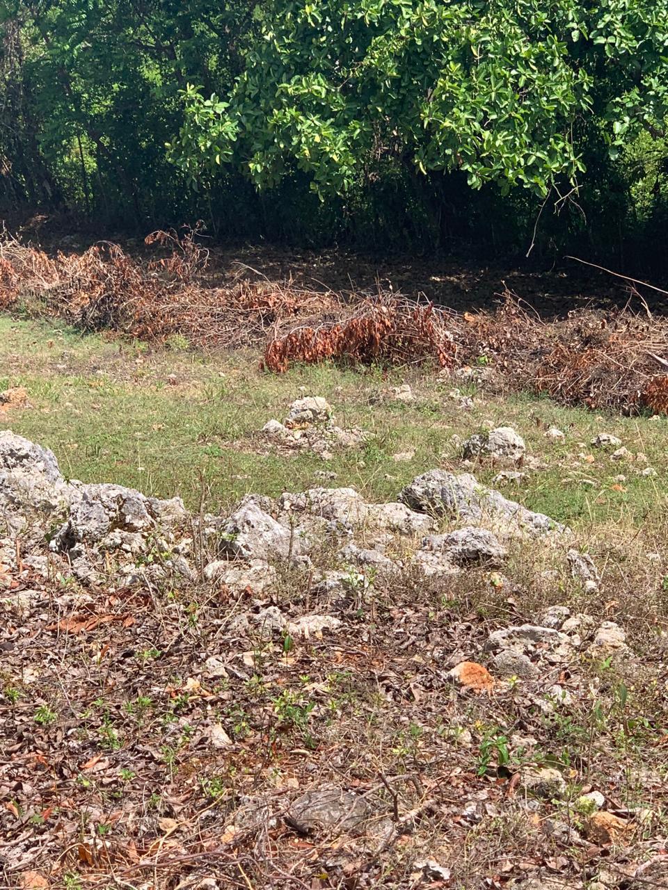 154297-whatsapp_image_2025_12_22_at_14.34.18__3_