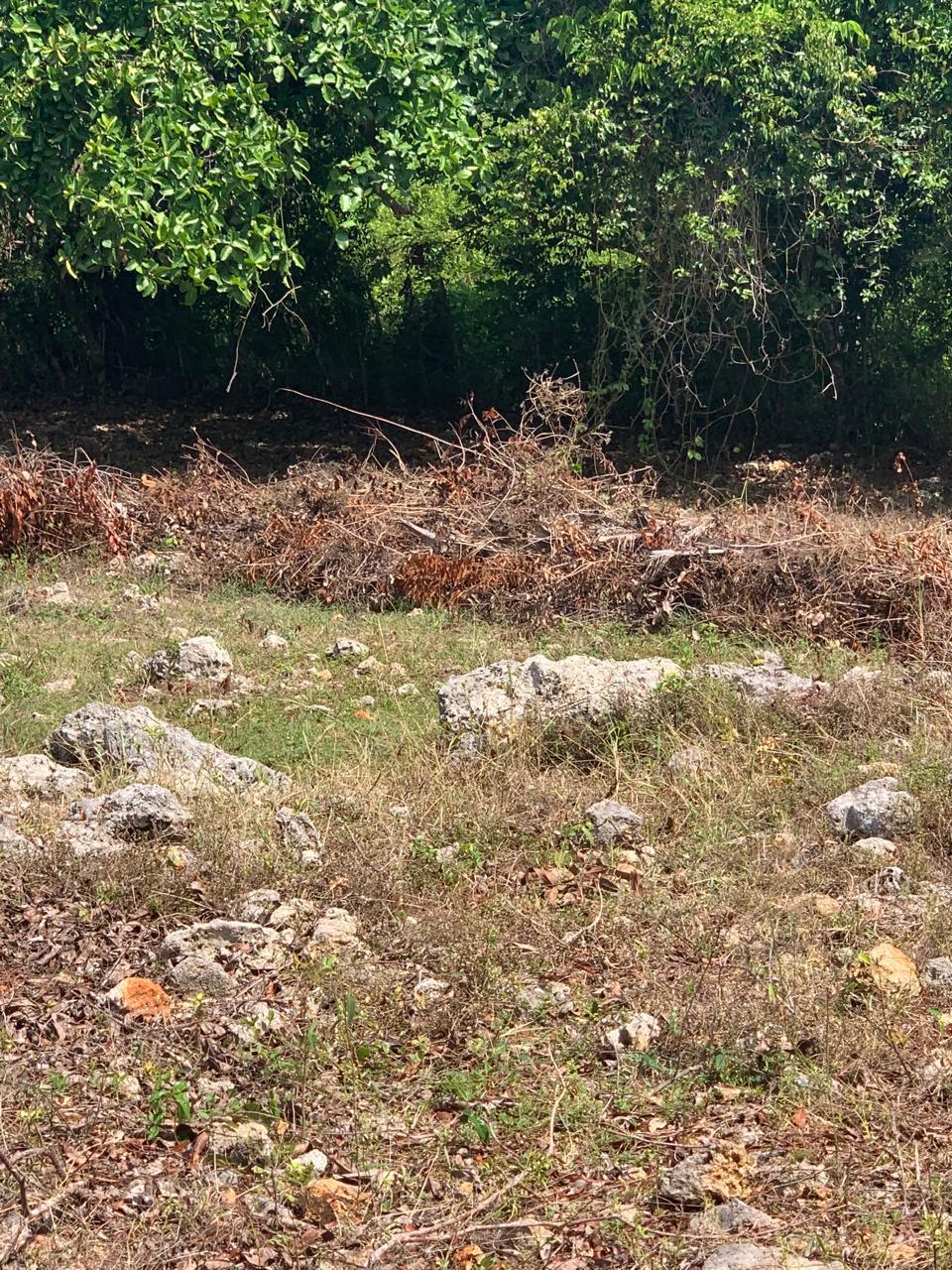 154297-whatsapp_image_2025_12_22_at_14.34.18__4_