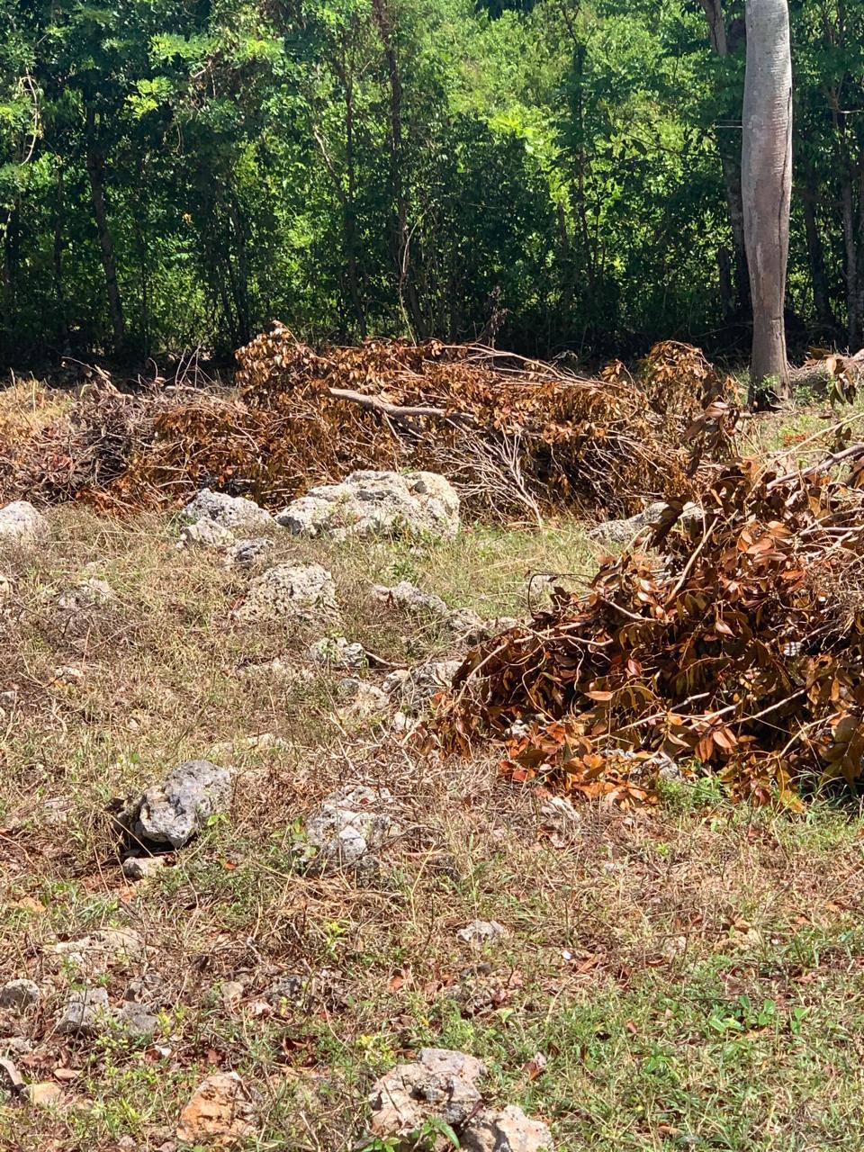 154297-whatsapp_image_2025_12_22_at_14.34.18__5_