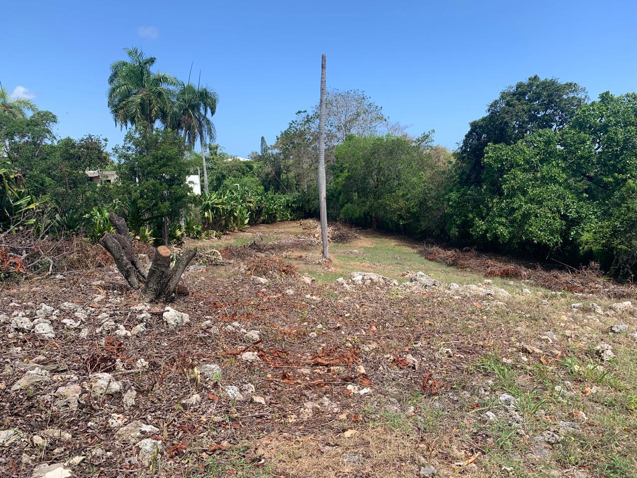 154297-whatsapp_image_2025_12_22_at_14.34.18__6_