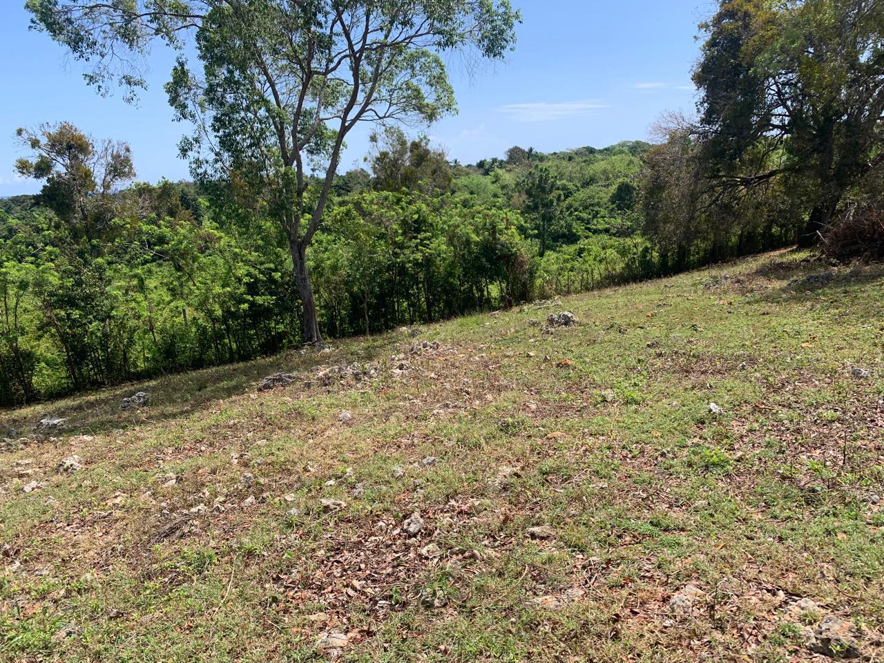 154297-whatsapp_image_2025_12_22_at_14.34.18__7_