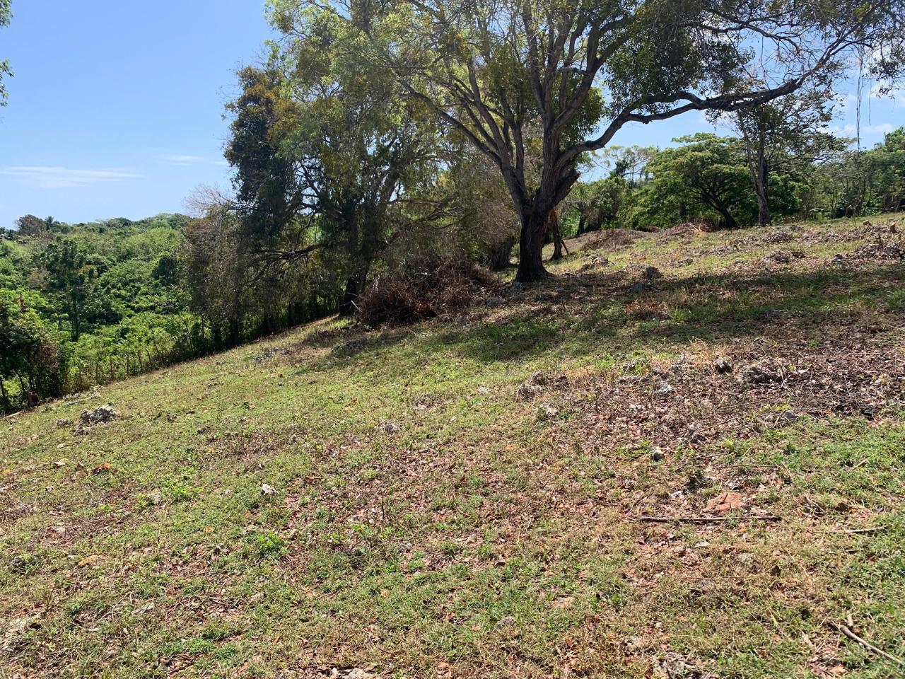 154297-whatsapp_image_2025_12_22_at_14.34.18__8_