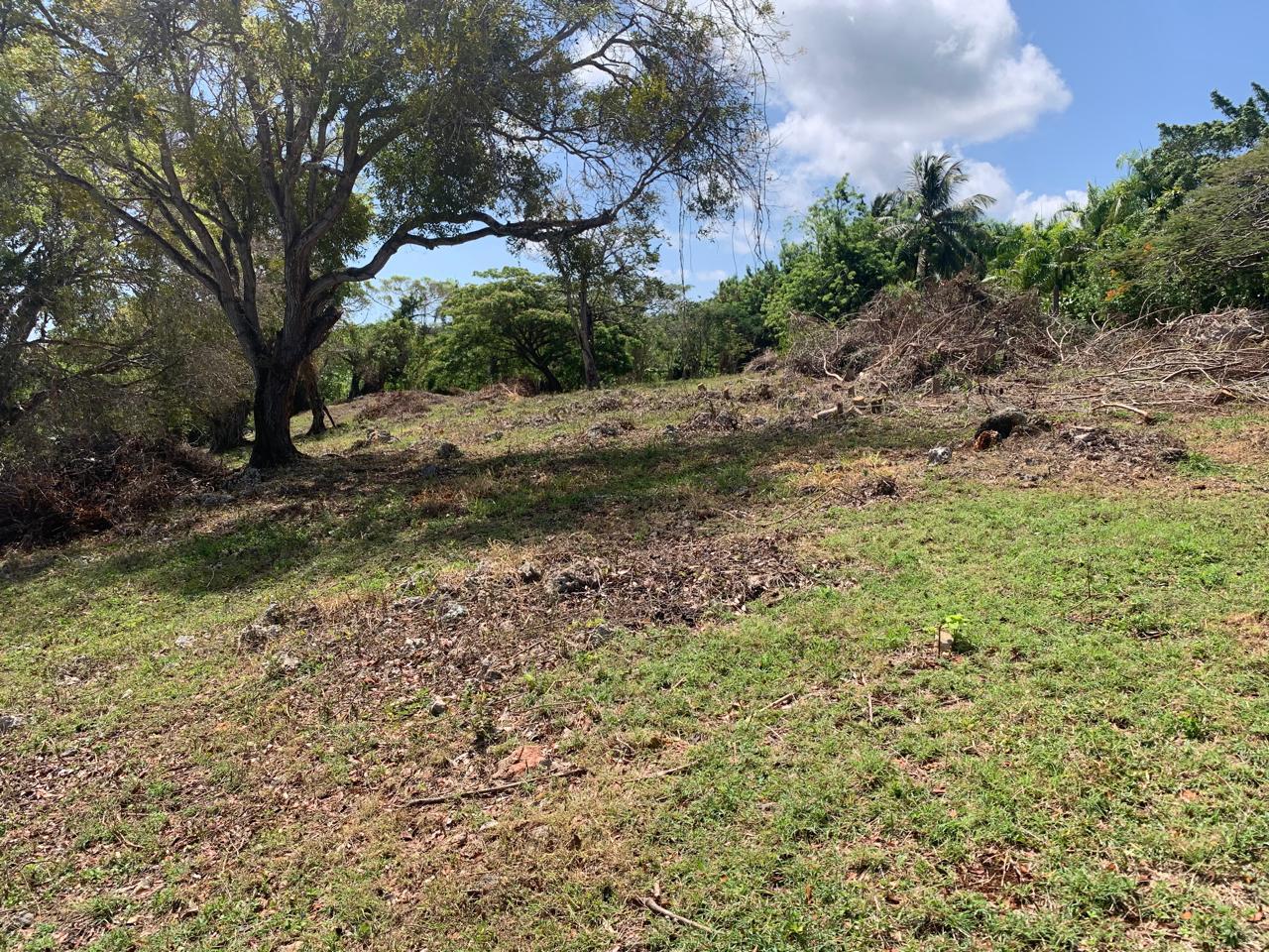 154297-whatsapp_image_2025_12_22_at_14.34.18__9_