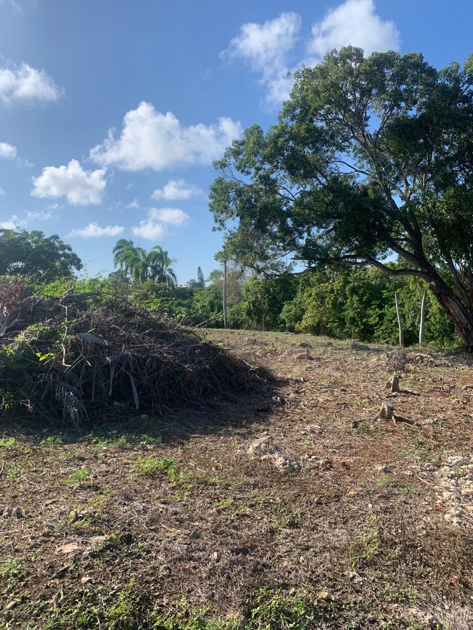 154297-whatsapp_image_2025_12_22_at_14.34.19