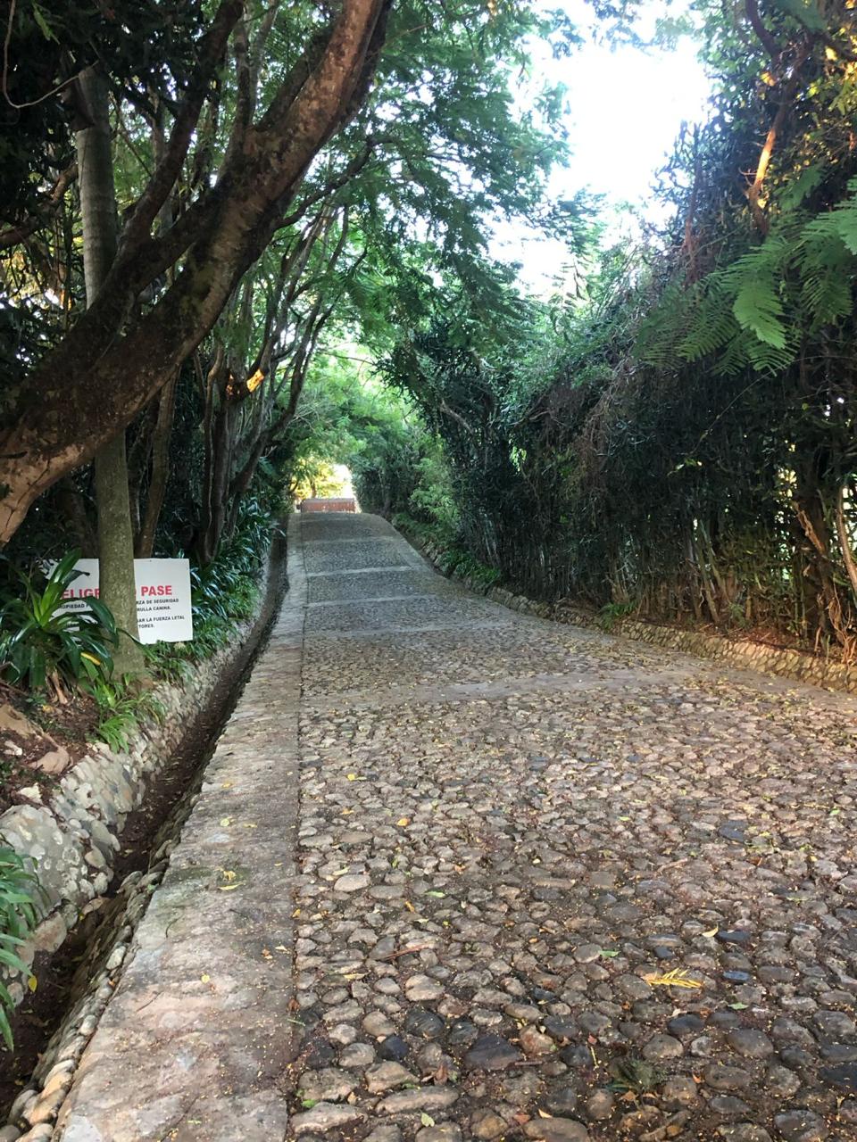 154297-whatsapp_image_2025_12_22_at_14.34.19__1_