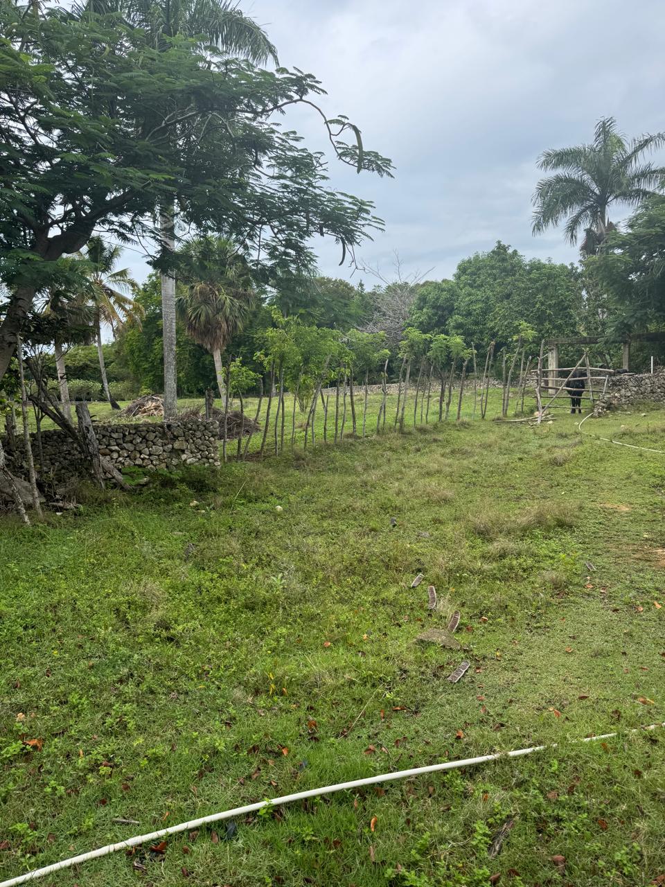 155218-el_choco_land_1