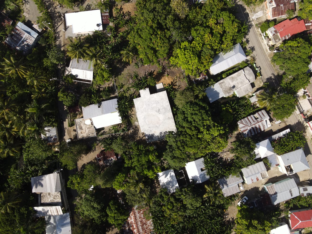 155228-photo_2026_02_20_10_23_55