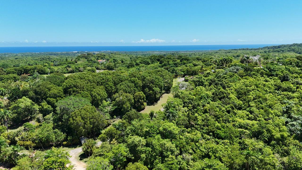 156105-photo_2025_03_18_08_44_56