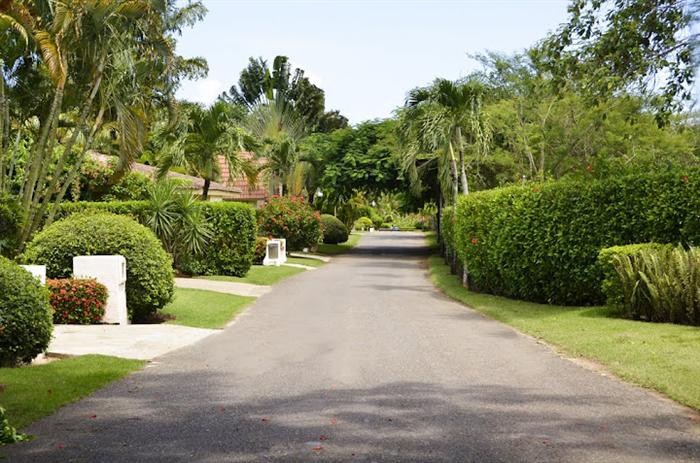 32361-498_road2custom