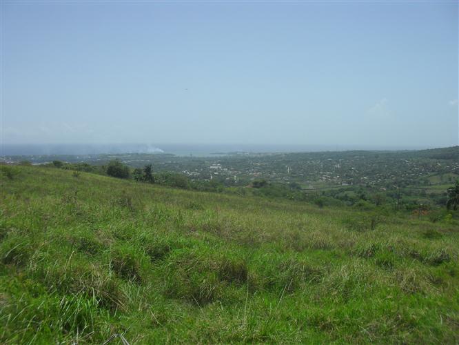 33762-527_sdc13463custom