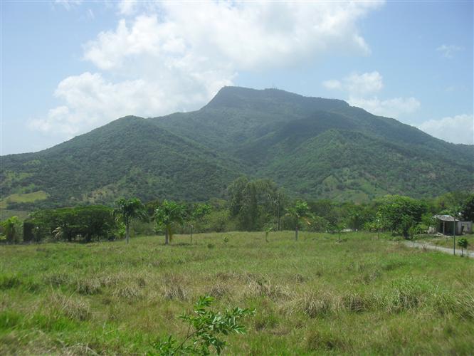 33762-527_sdc13464custom