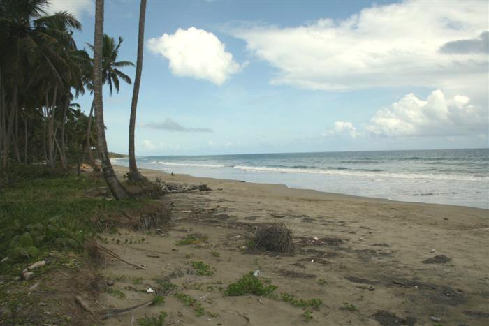 47042-821_landforsaledominicanrepubliclascanasoceanfront