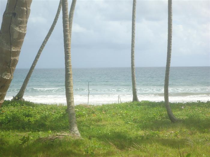 47042-821_landforsaledominicanrepubliclascanasoceanfront4