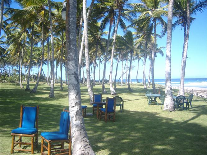 67932-83_playaenqantro4custom