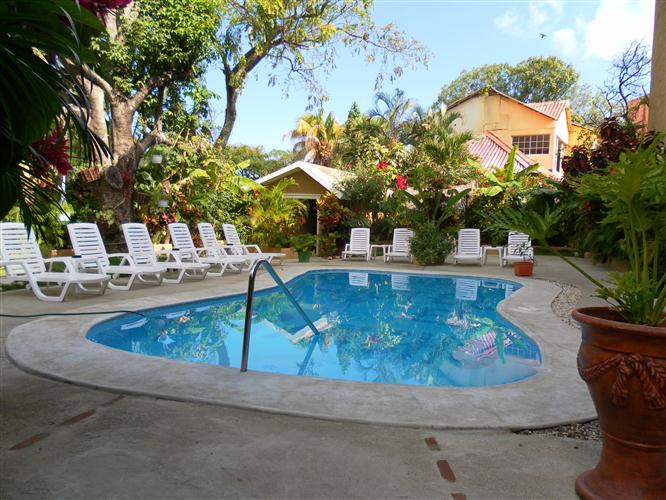 SAMSUNG DIGITAL CAMERA