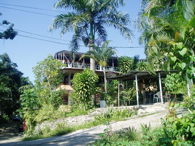 68219-431_tropicalhousebuildingb211