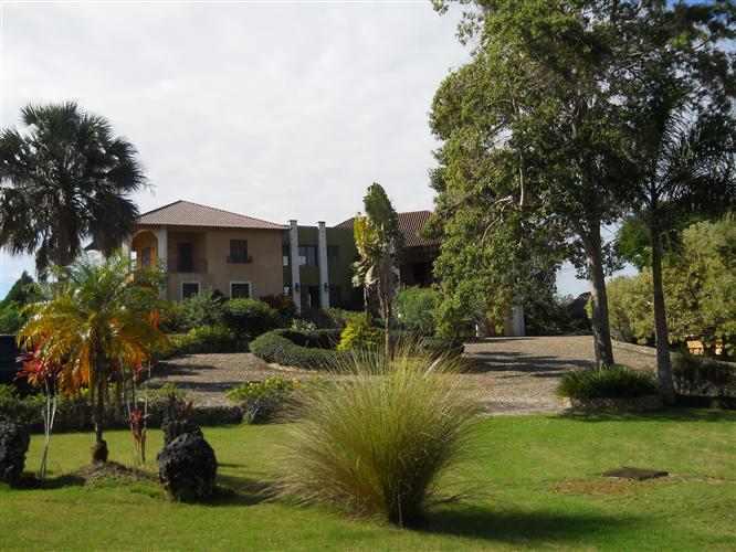 68224-436_dscn1859custom