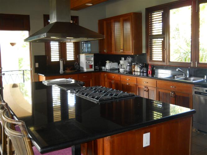 68224-436_dscn1884custom