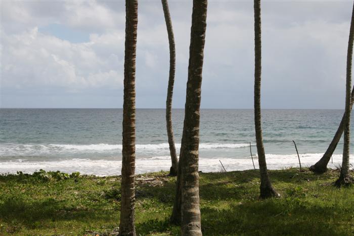 68436-821_landforsaledominicanrepubliclascanasoceanfront10