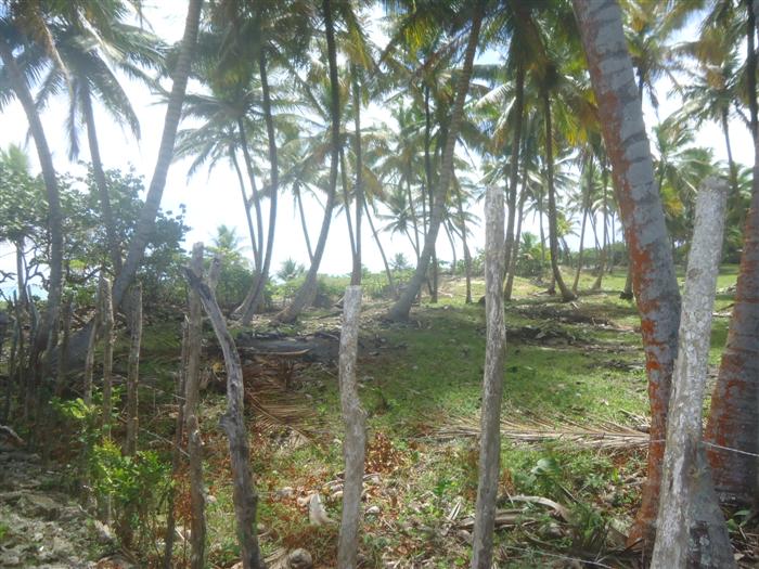 68436-821_landforsaledominicanrepubliclascanasoceanfront5