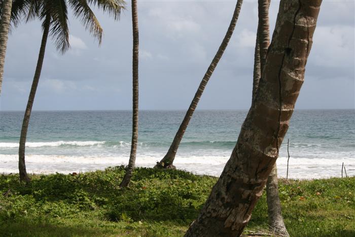 68436-821_landforsaledominicanrepubliclascanasoceanfront9