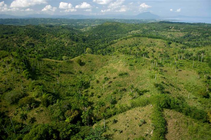 68454-839_dsc0039custom