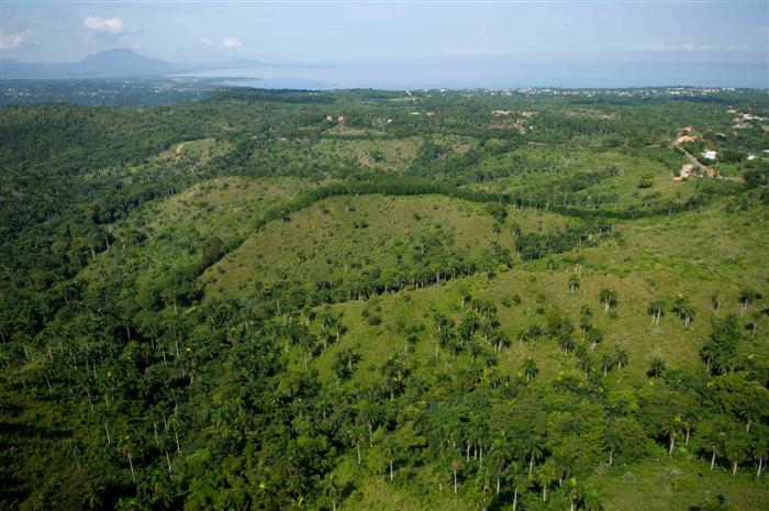 68454-839_dsc0049custom