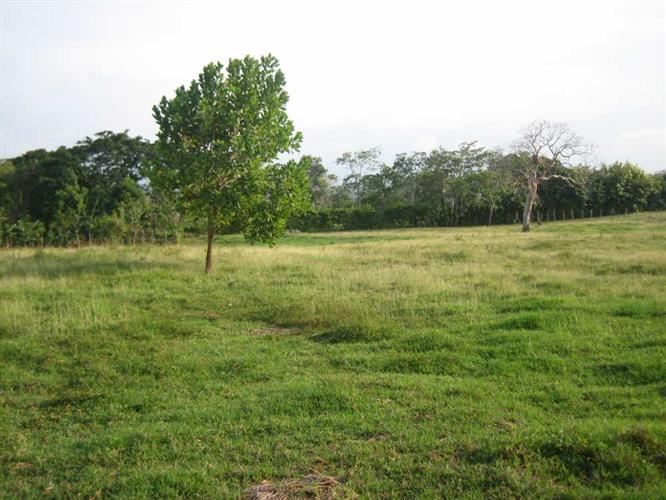 CREATOR: gd-jpeg v1.0 (using IJG JPEG v62), quality = 50