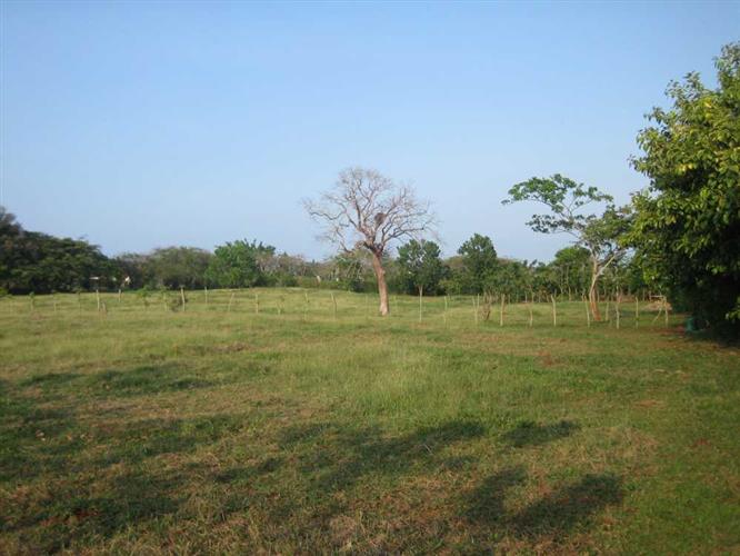 CREATOR: gd-jpeg v1.0 (using IJG JPEG v62), quality = 50