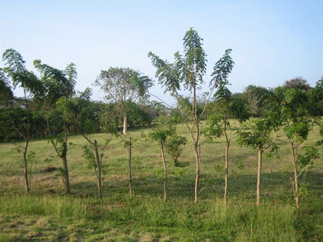 CREATOR: gd-jpeg v1.0 (using IJG JPEG v62), quality = 50