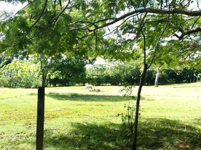 68479-865_4433custom