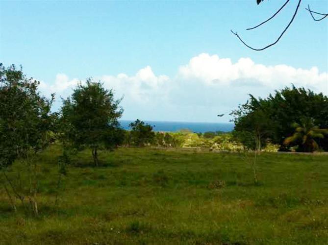 68479-865_4434custom