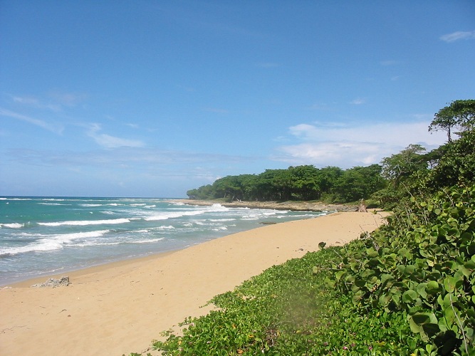 82704-1177_2beachinfrontofthelandlandforsaledominicanrepublicrealestatedominicanrepublic