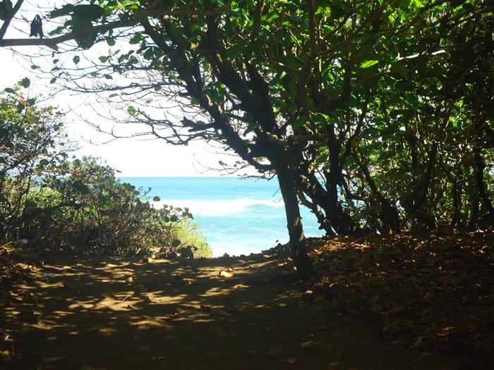 82704-1177_3oceanviewfromthelandlandforsaledominicanrepublicrealestatedominicanrepubliccustomcustom