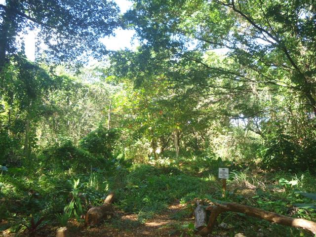 82704-1177_4landfullofthreessmall