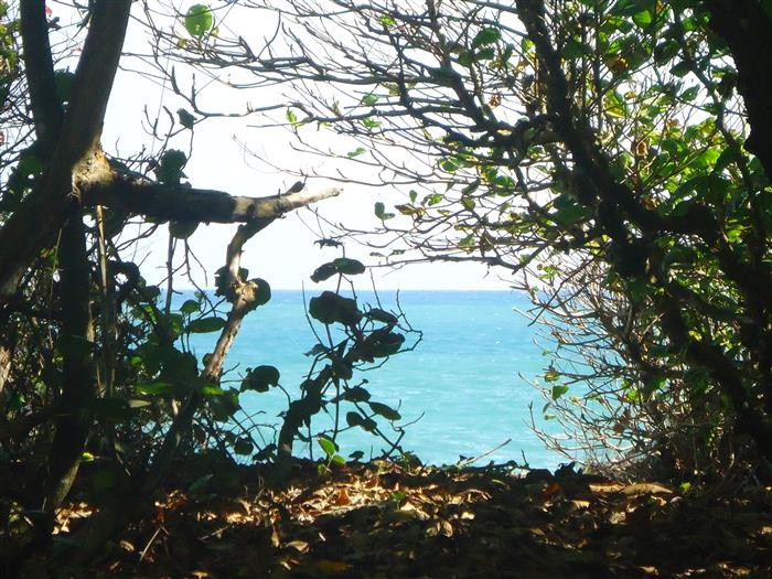 82704-1177_7oceanviewfromthelandlandforsaledominicanrepublicrealestatedominicanrepubliccustom