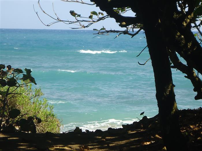 82704-1177_8oceanfrontlandlandforsaledominicanrepublicrealestatedominicanrepubliccustom