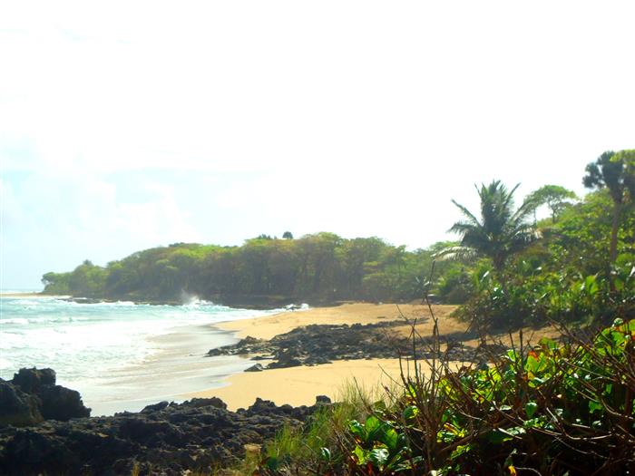 82704-1177_9beachjustinfrontofthelandlandforsaledominicanrepublicrealestatedominicanrepubliccustom