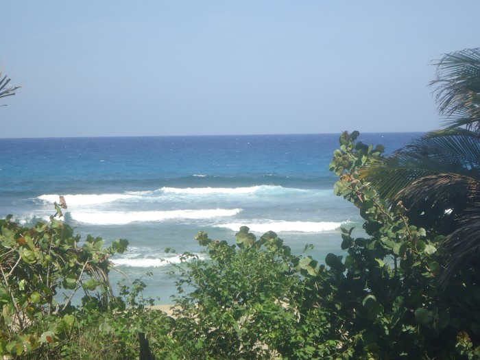 83324-1305_dsc05291custom