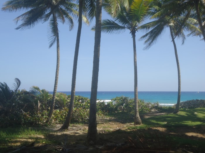 83324-1305_dsc05292custom