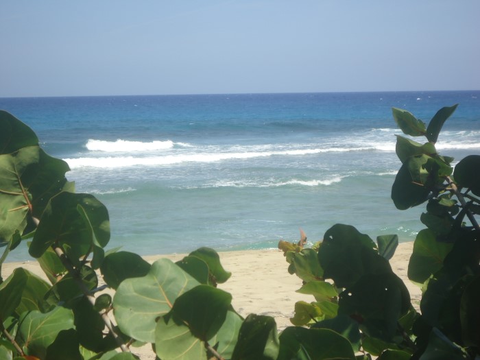 83324-1305_dsc05295custom