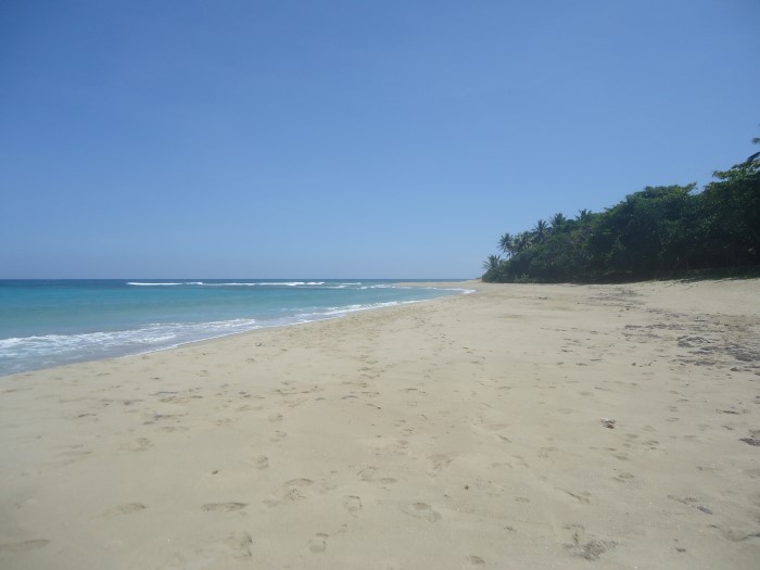 83324-1305_dsc05303custom