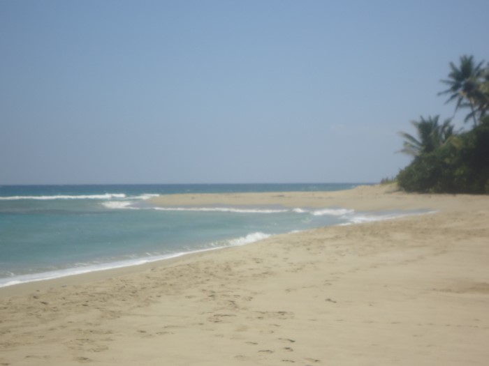 83324-1305_dsc05304custom