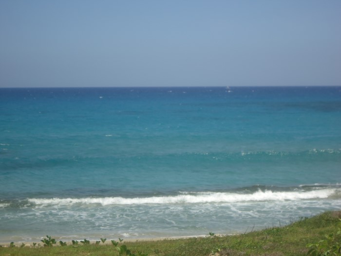 83324-1305_dsc05313custom