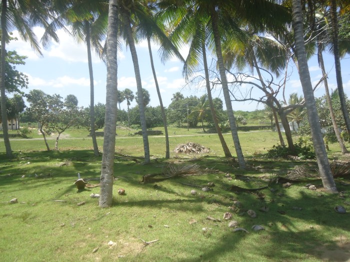 83324-1305_dsc05315custom