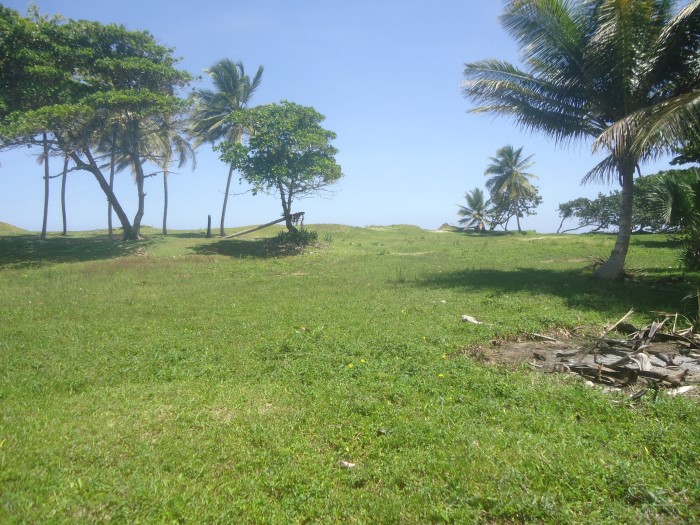 83324-1305_dsc05316custom