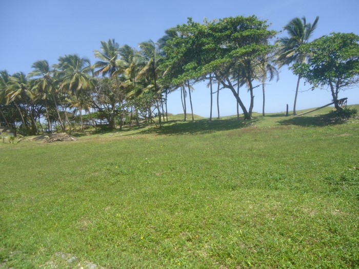 83324-1305_dsc05317custom